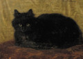 A black cat - Henriette Ronner-Knip