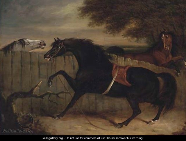 The stallion Smolensko with a grey mare and another horse by a fence - Henry Bernard Chalon