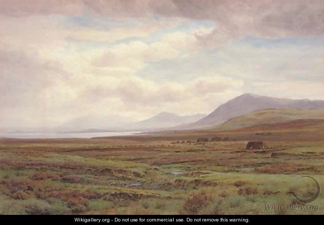 On the moors, Achill Island, Co. Mayo, Ireland - Henry Albert Hartland