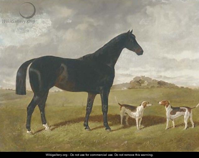 A dark brown hunter with two hounds in a landscape, with Brindle Church, Lancashire, beyond - Henry Woollett