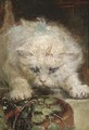 On the prowl - Henriette Ronner-Knip