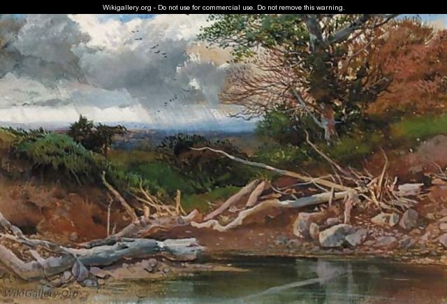 A pond in a wooded landscape - Henry Bright