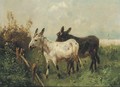 Donkeys in a meadow - Henri Schouten