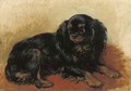 A prince Charles dog - Henriette Ronner-Knip