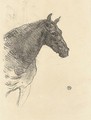 Le Poney Philibert - Henri De Toulouse-Lautrec