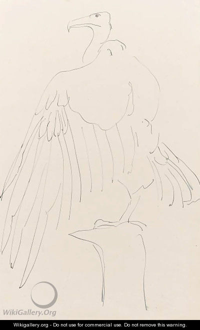 Study of an eagle on a perch - Henri Gaudier-Brzeska