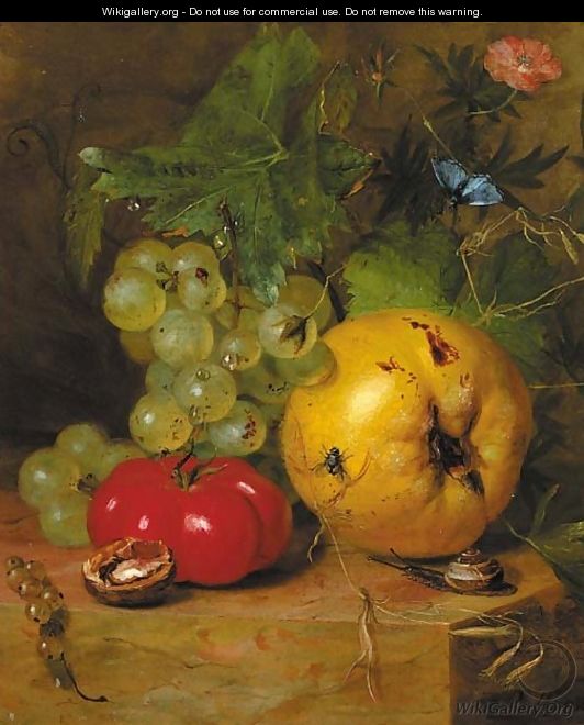 A still life with fruit and insects - Hendrik Reekers