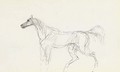 Cheval 2 - Henri De Toulouse-Lautrec