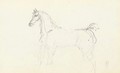 Cheval - Henri De Toulouse-Lautrec