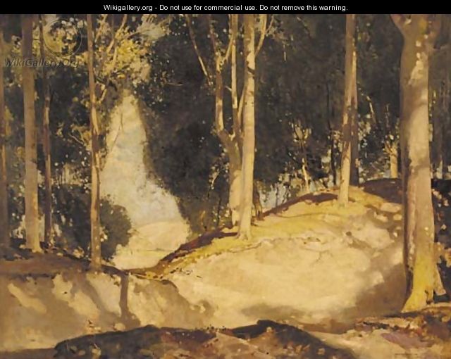 A sunlit woodland glade - Harry Watson