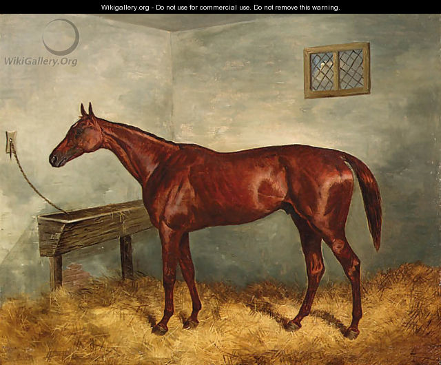 Thunderbolt, a chestnut racehorse in a stable - Harry Hall
