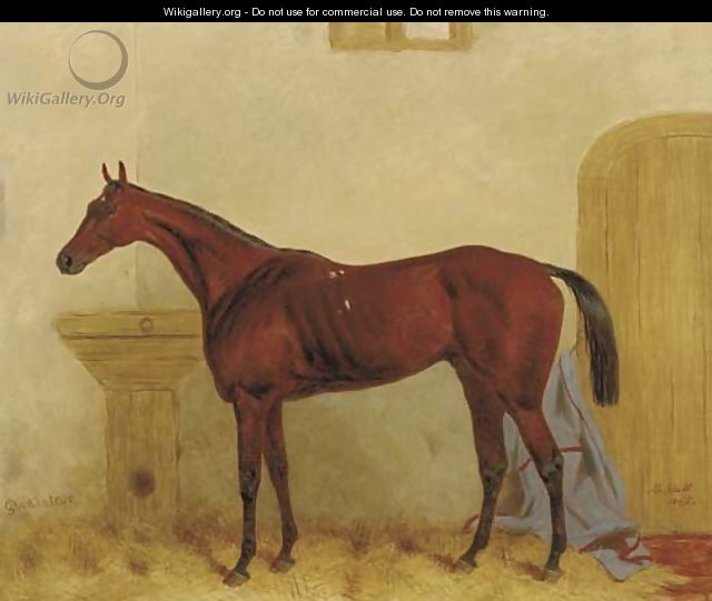 Gladiateur a Bay racehorse in a stable - Harry Hall