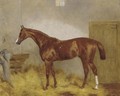 Cymbal, a chestnut racehorse in a stable - Harry Hall