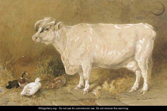 Cow with ducks in a barn - Harrison William Weir