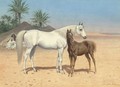 Arab horses in the desert - Harrington Bird