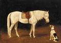 A saddled grey hunter with a dog in a yard - Heinrich Sperling