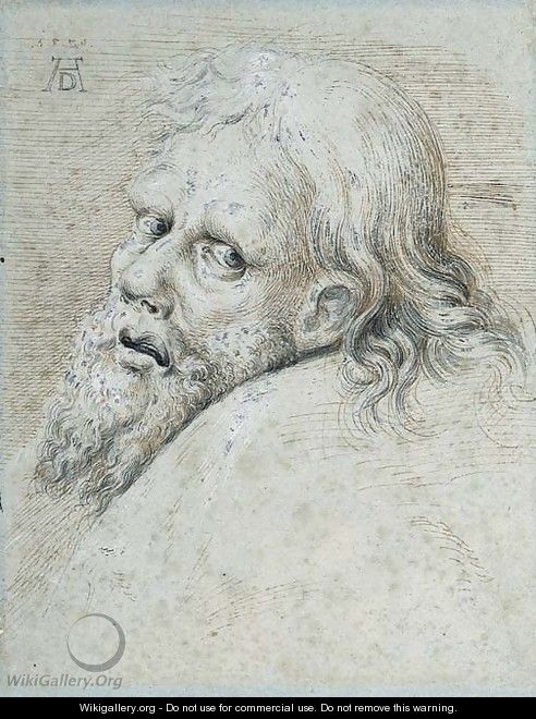 The Head of a bearded Man, turned to the left looking back - Hans Hoffmann