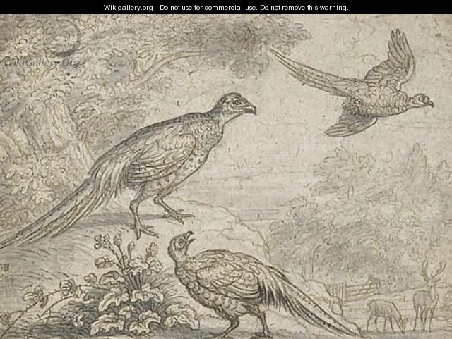 Pheasant in a wooded landscape, with deer beyond - Francis Barlow