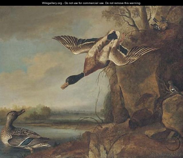 Mallard and chaffinches in a river landscape - Francis Barlow