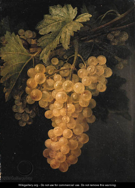 A bunch of white grapes on the vine - Francisco Lacoma Y Fontanet