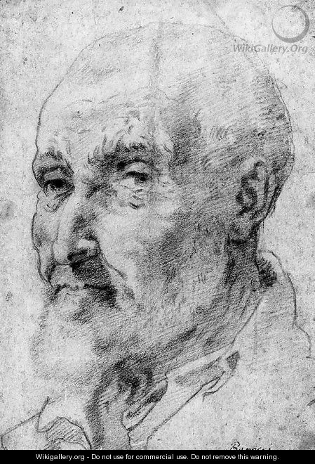 The Head of a bearded Man - Francesco Vanni