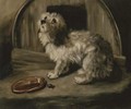 The penitent puppy - (after) Sir Edwin Henry Landseer