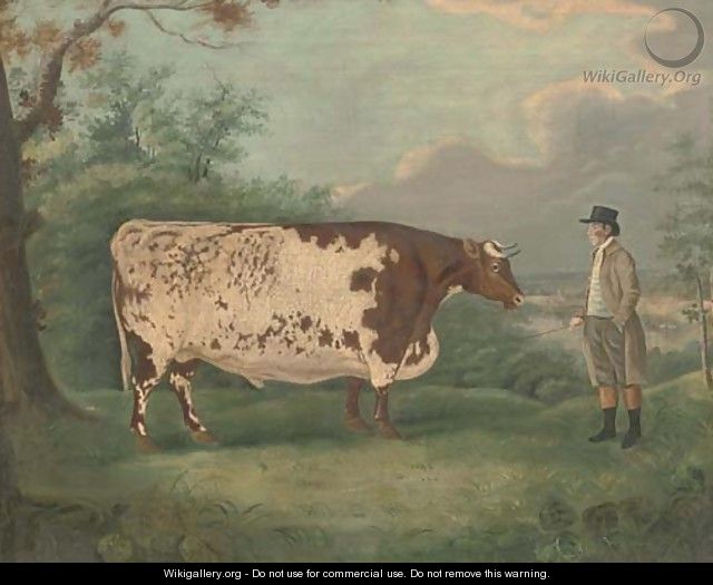 A prize bull - (after) Richard Whitford