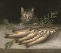 A table of dead fish with a cat looking on - (after) Sebastien Stoskopff