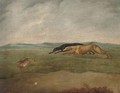 Hare coursing - (after) Philip Reinagle