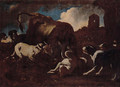 Hounds attacking a bull - (after) Philipp Peter Roos