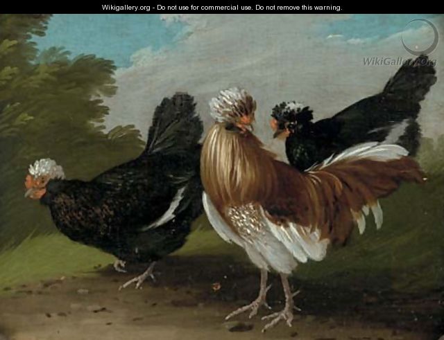 Fowl in a landscape - (after) Melchior De Hondecoeter