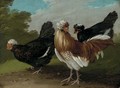 Fowl in a landscape - (after) Melchior De Hondecoeter