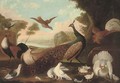 A peacock, a cockeral, a hen and her chicks, a grouse and other foul in a wooded river landscape - (after) Melchior De Hondecoeter