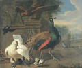 A peacock, a white hen and chickens - (after) Melchior De Hondecoeter