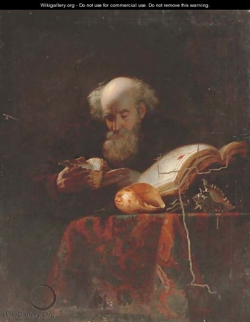 An old man studying shells - (after) Michiel Sweerts
