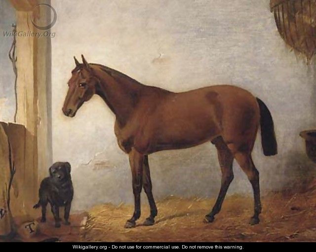 A chestnut hunter with a black labrador in a stable - (after) John Frederick Jnr Herring