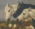 Three horses - (after) John Frederick Herring