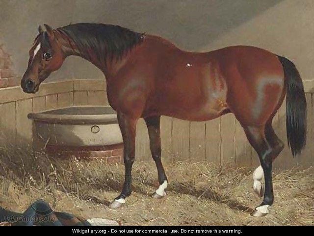 A light brown racehorse in a stable - (after) John Frederick Snr Herring