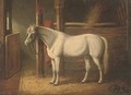 A grey stallion in a stable - (after) John Frederick Herring