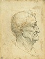 The head of an old man in profile to the right - (after) Leonardo Da Vinci