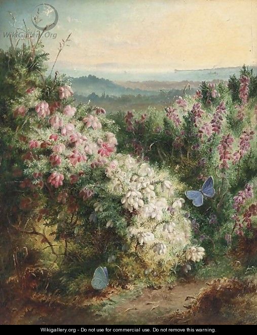 An extensive spring landscape with heather in bloom and butterflies - George Lucas