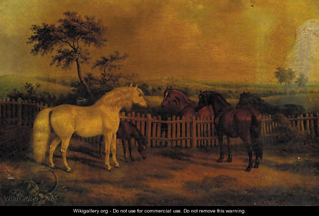 Horses in a paddock - G. Jackson