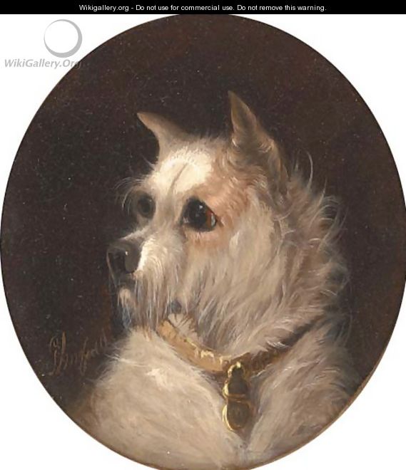 A terrier - George Armfield