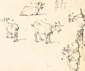 Studies of Goats - George Chinnery