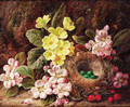 Primroses, apple blossom, and a bird