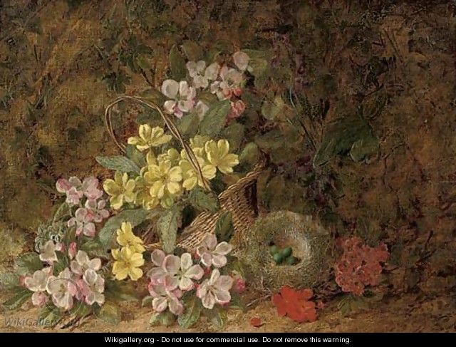 Hawthorn blossom, primroses and a bird