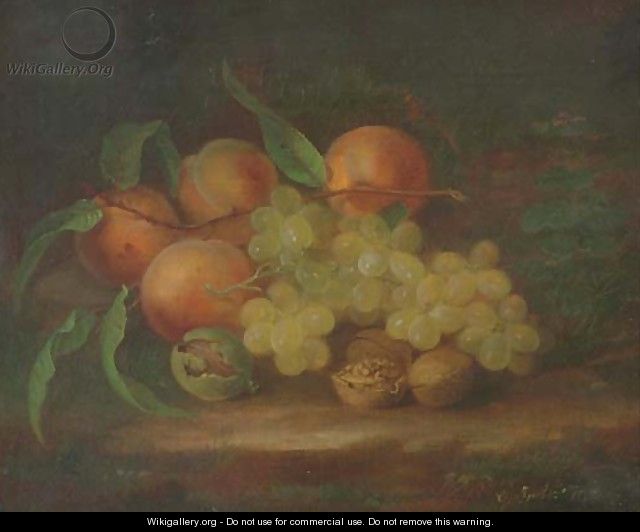 Still Life with Peaches, Grapes and Walnut - George Forster