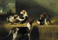 Brocklesby Foxhounds, Scornful, Prudence, Rosebud and Poesy (from left to right) - George Earl