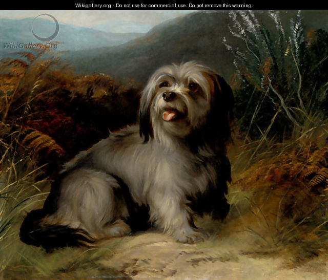 A Terrier in a Landscape - George Earl