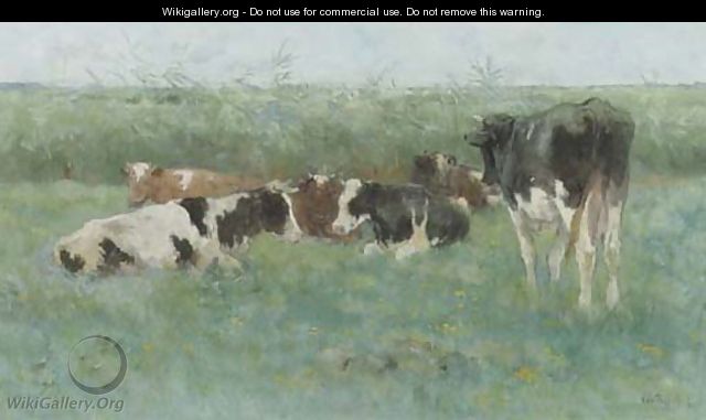 Cows in a meadow - Geo Poggenbeek